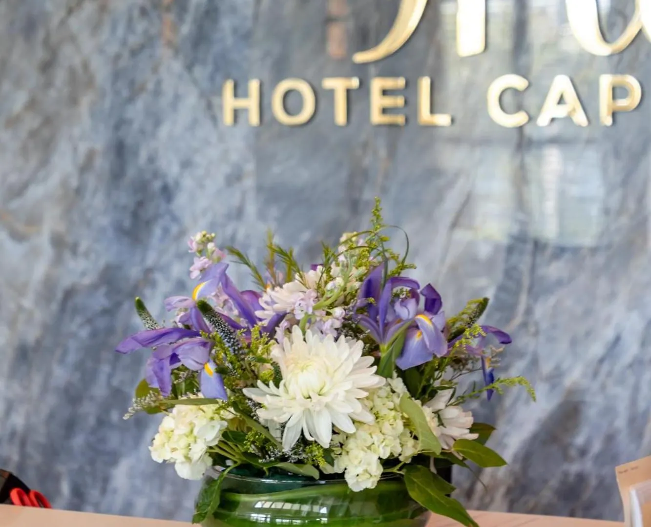 Staying Near Woods Hole: 7 Beach Hotels Compared