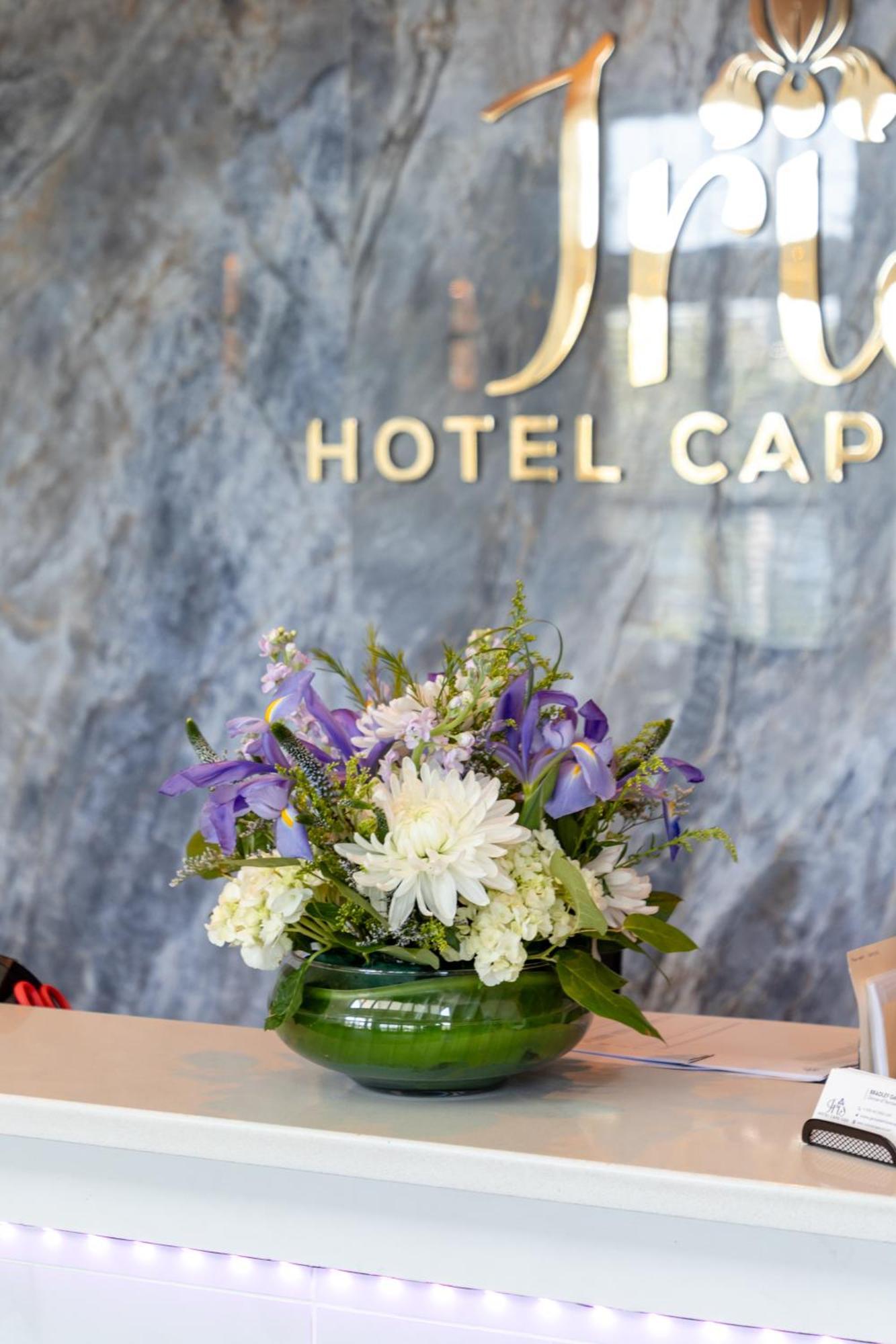 Staying Near Woods Hole: 7 Beach Hotels Compared