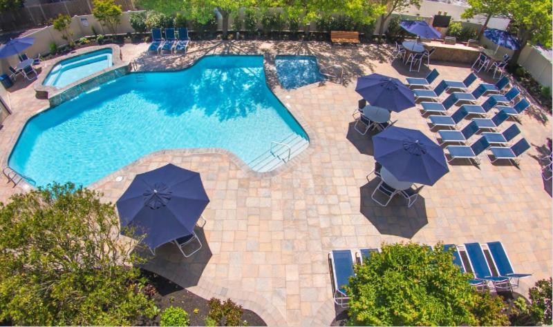 Staying Near Seaport Safari: 4 Three-Star Hotels Compared